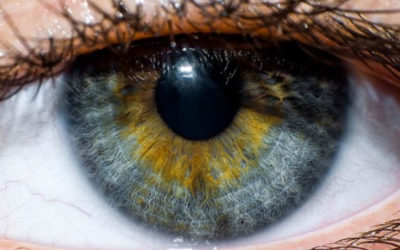 Three Ways to Keep Your Vision Healthy